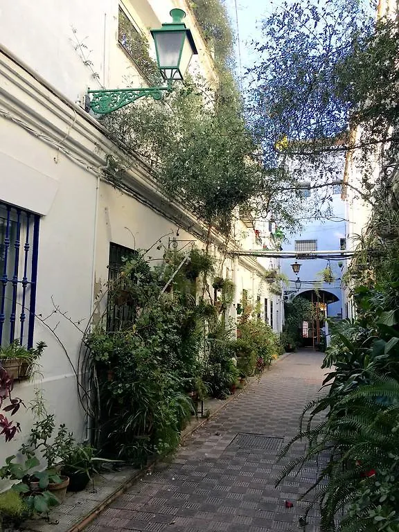 Casas De Sevilla - Apartamento Puente De Triana 0*, Seville Spain